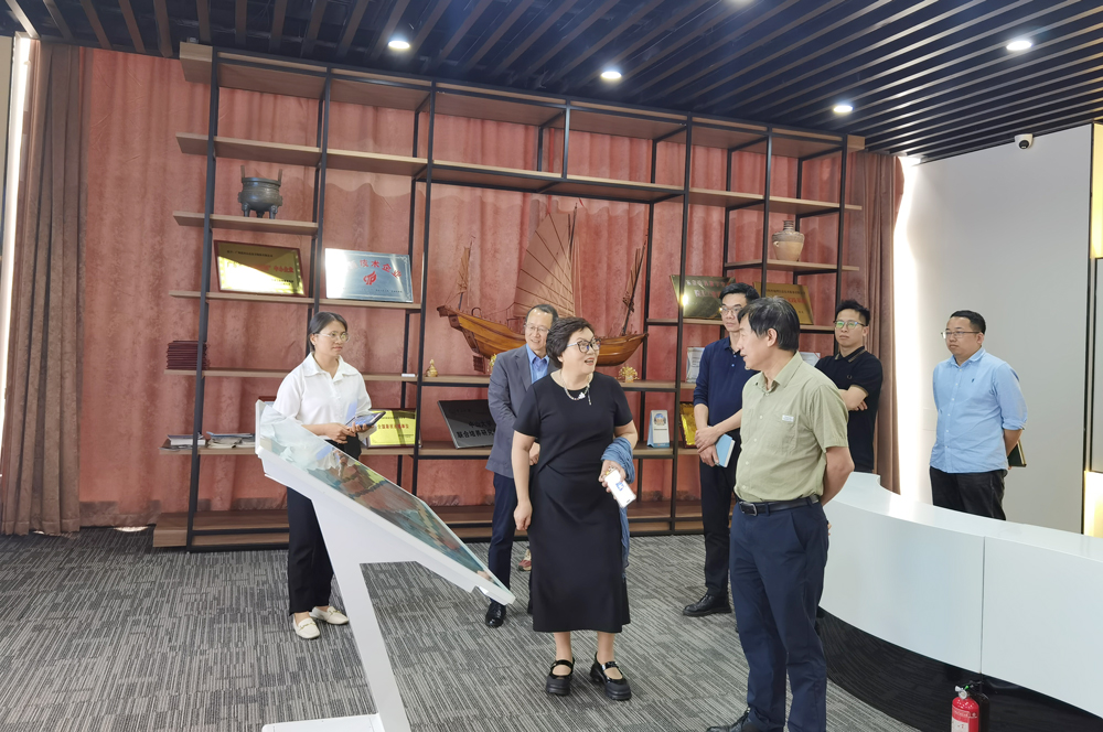 全域土地综合整治，东莞市规划院1